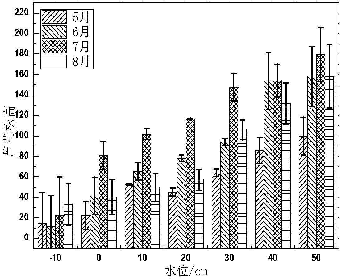Method for measuring ecological water demand of degraded wetland based on water level gradients