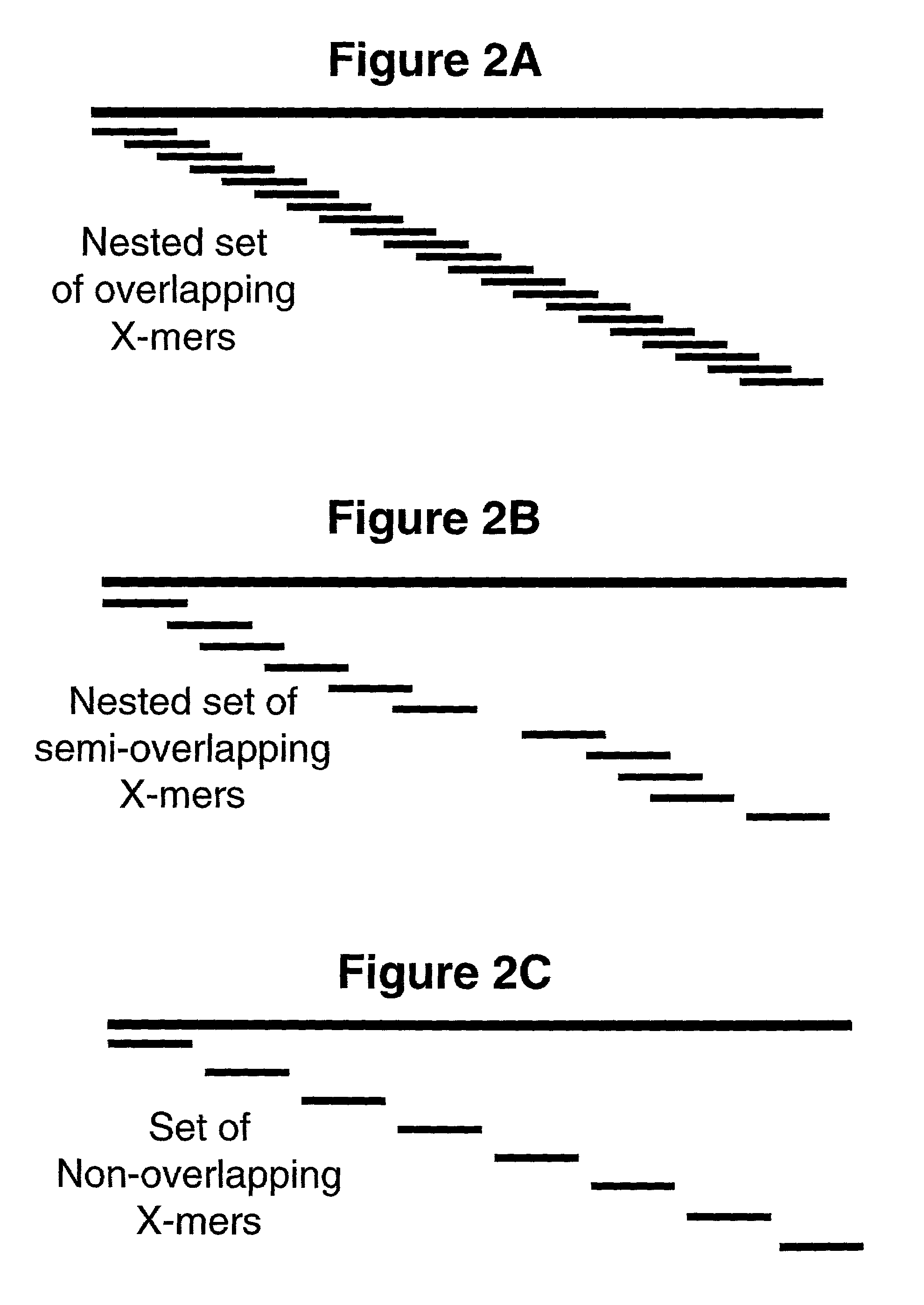 Method and reagents for analyzing the nucleotide sequence of nucleic acids