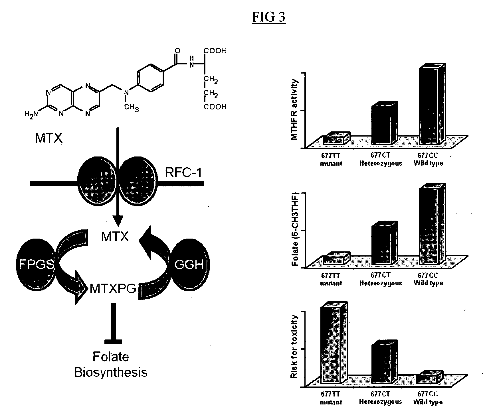 Method to optimize drug selection, dosing and evaluation and to help predict therapeutic response and toxicity from immunosuppressant therapy