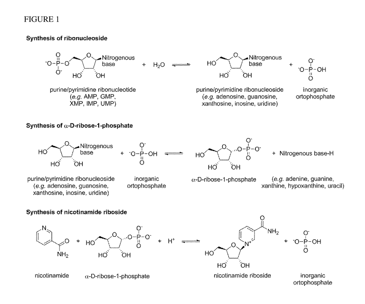 Method For Preparing Nicotinamide Riboside