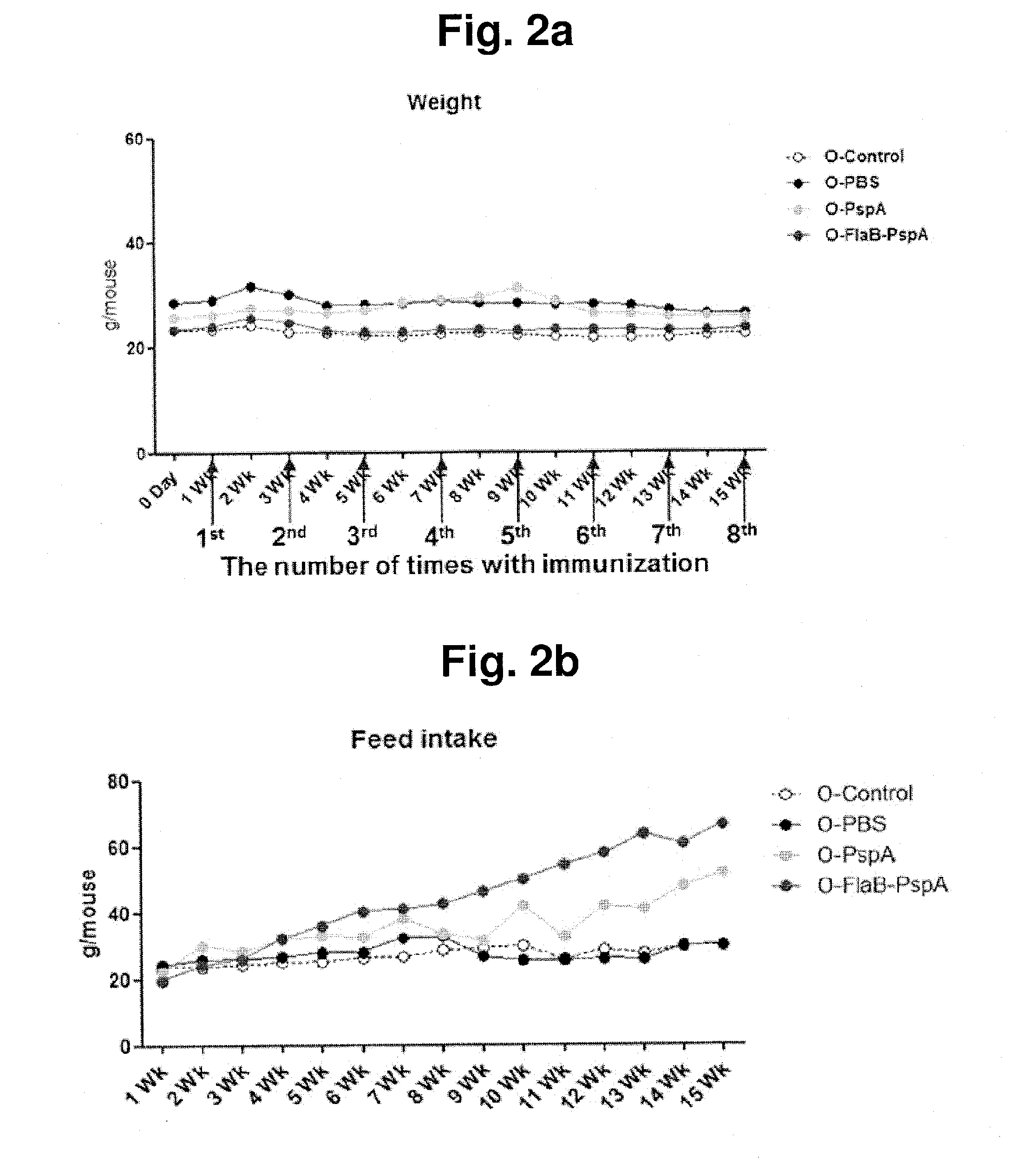 Composition comprising recombinant fusion protein of pathogenic antigen protein and flagellin of vibrio vulnificus for preventing, alleviating, or treating aging