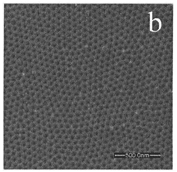 Ordered porous alumina template capable of being directly used in electrochemical deposition and production method
