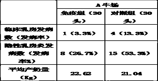 Dairy cow mammitis staphylococcus aureus-Escherichia coli bigeminy polyvalent vaccine and preparation method thereof