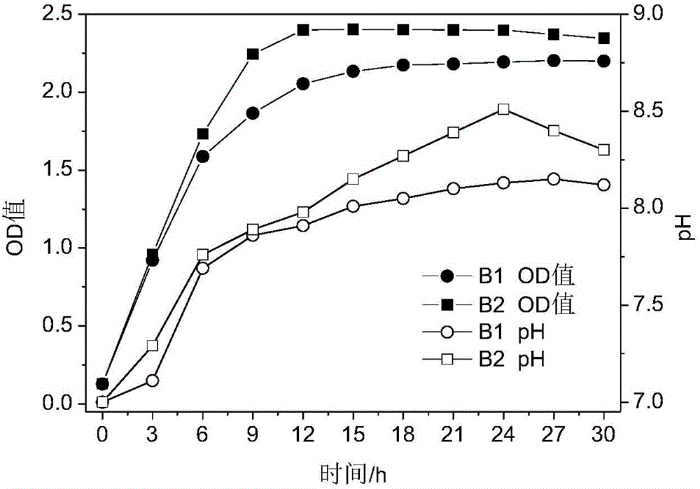 Method for studying reducing action of selenium-highly-resistant bacteria to selenite