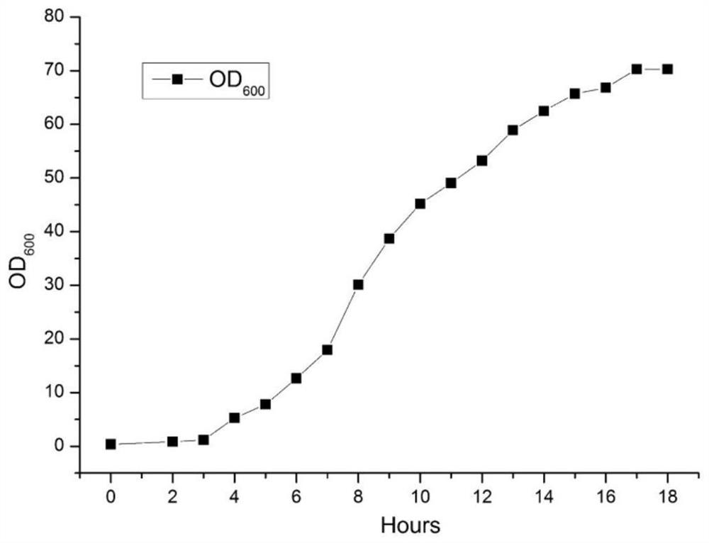 Synthesis and purification method of (R)-3-aminobutyric acid