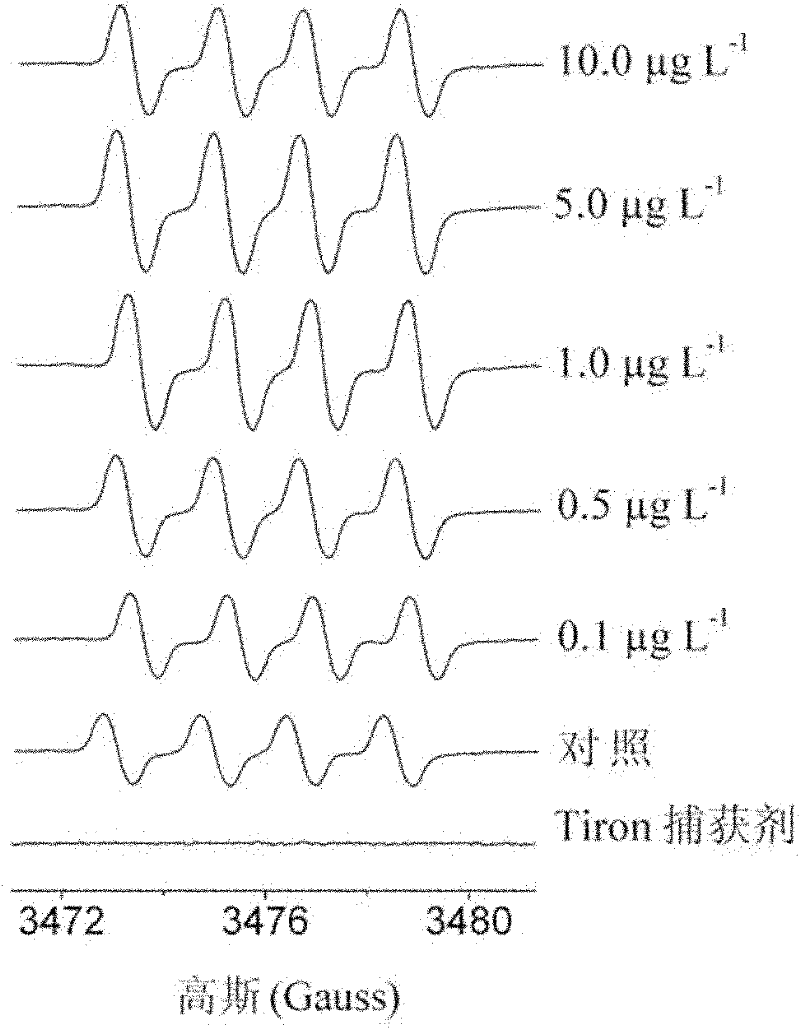 Method for determining superoxide anion radicals in tape grass leaves