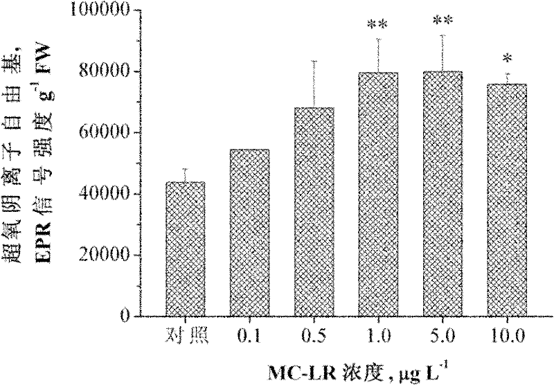 Method for determining superoxide anion radicals in tape grass leaves