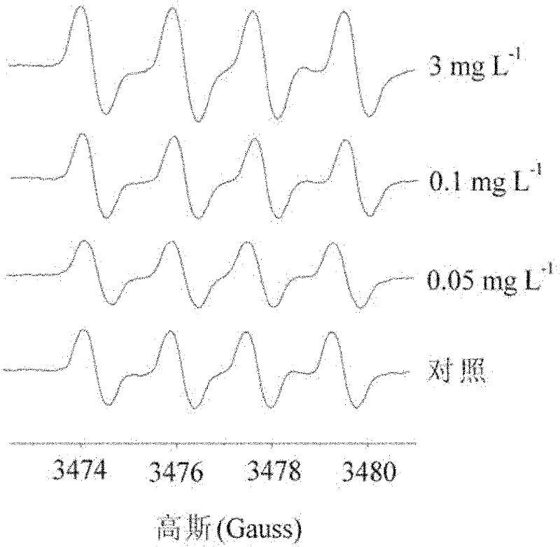 Method for determining superoxide anion radicals in tape grass leaves