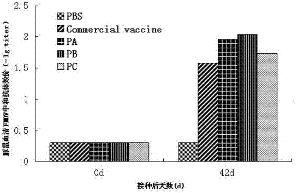 Cattle food-and-mouth disease virus A type synthetic peptide and preparation and application thereof