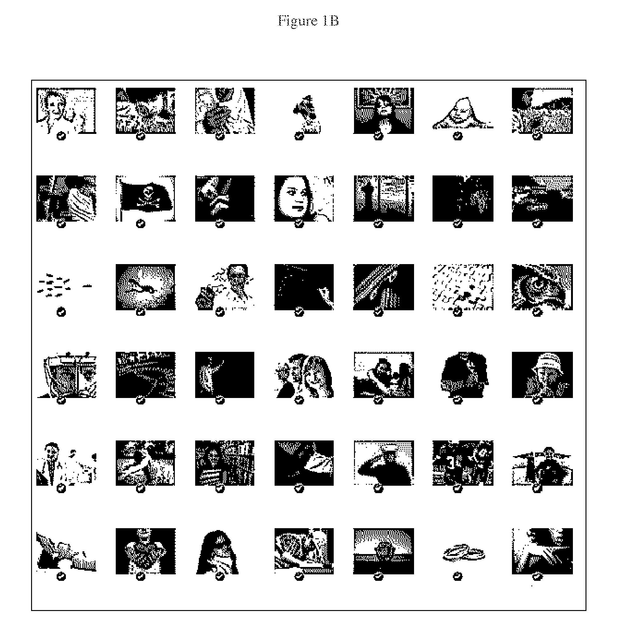 Method of visualizing the collective opinion of a group