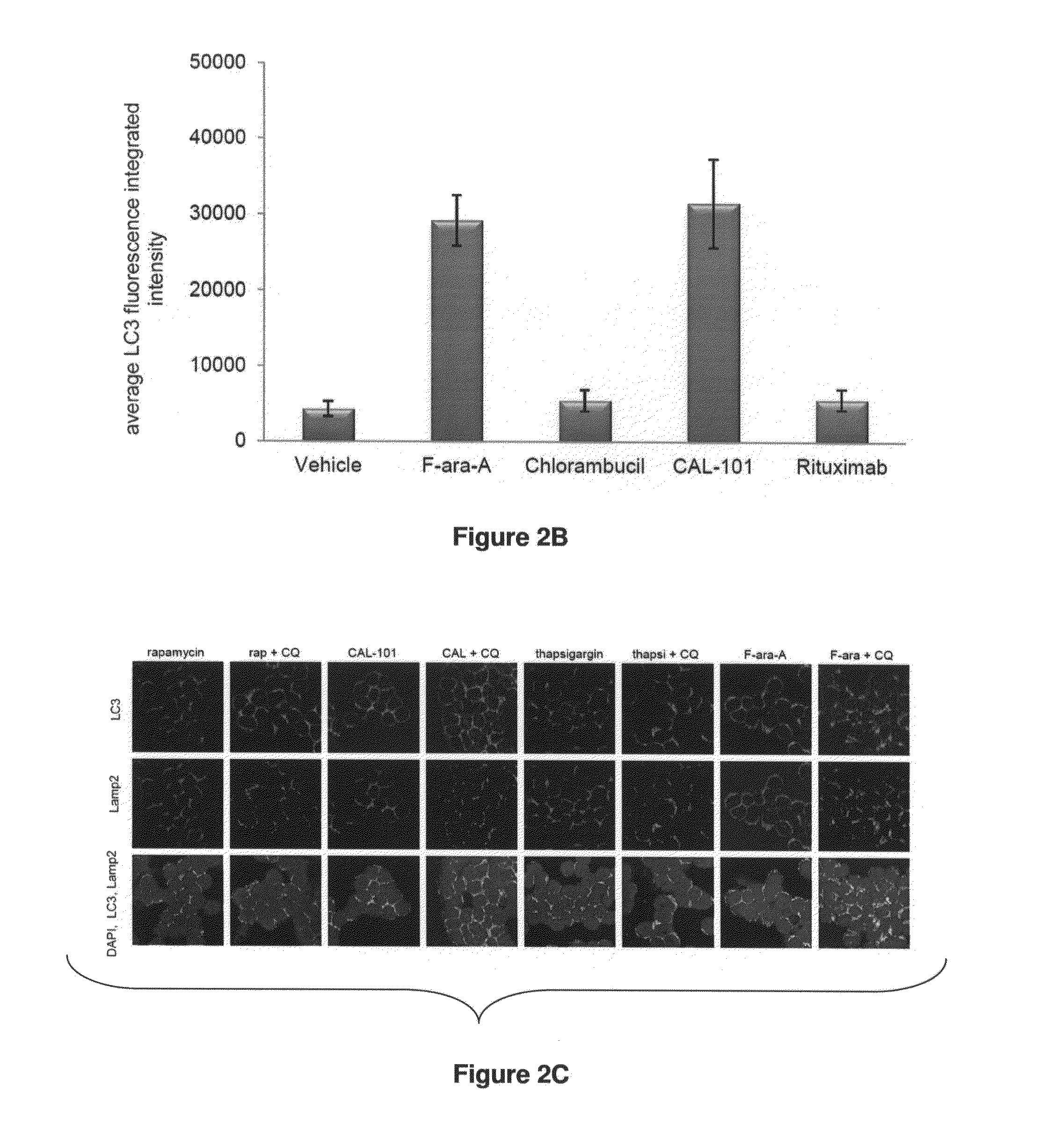Compositions and Methods for Increasing Drug Efficacy in Cancer