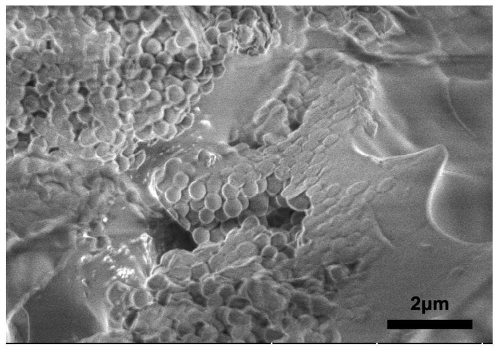 A photothermal nanomaterial capable of responding to temperature and its preparation method