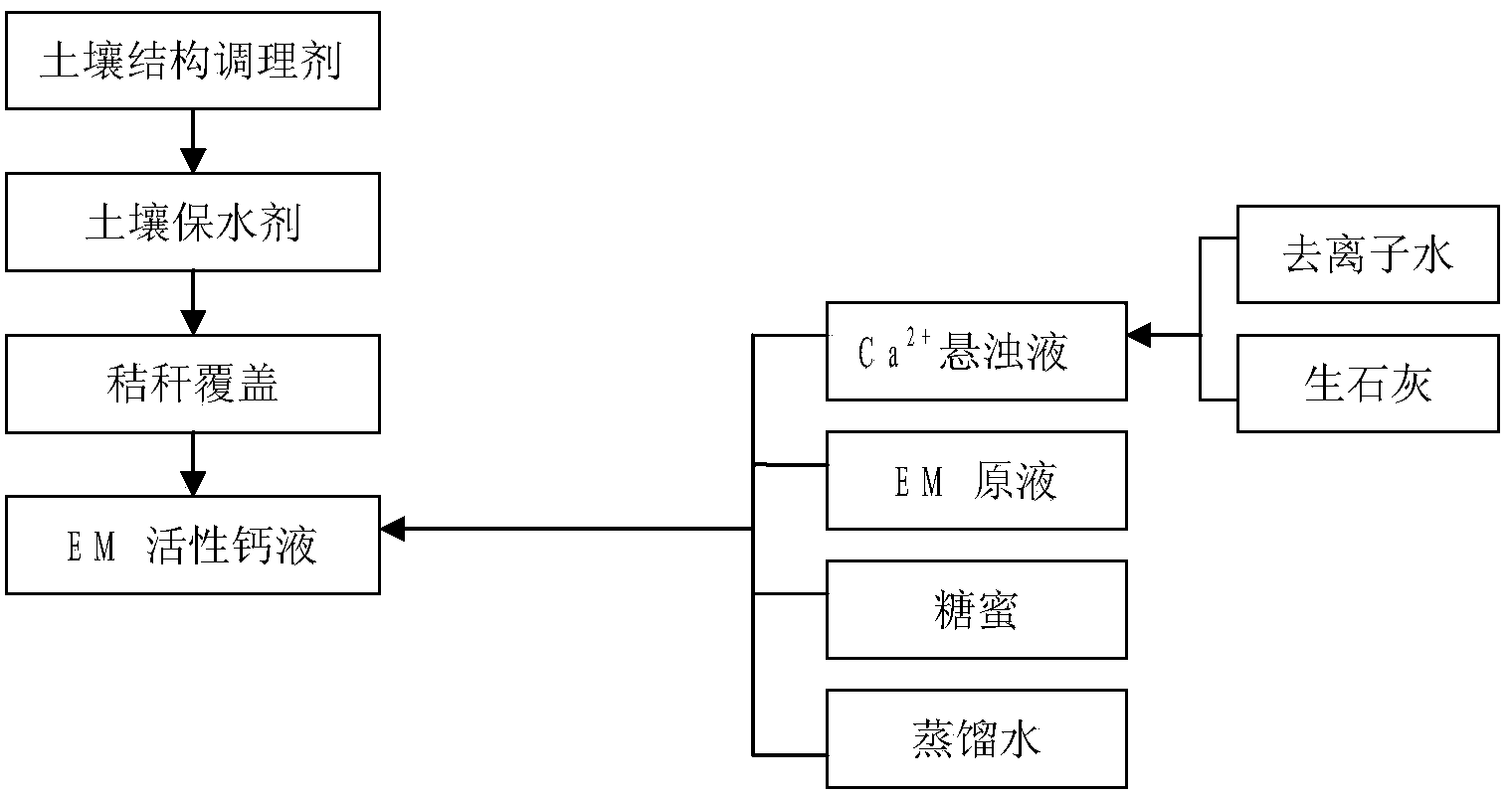 Field regulating method for improving facility salinity soil