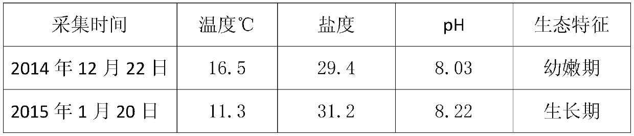 Porphyra haitanensis group thallus germplasm bank construction method based on living body preservation