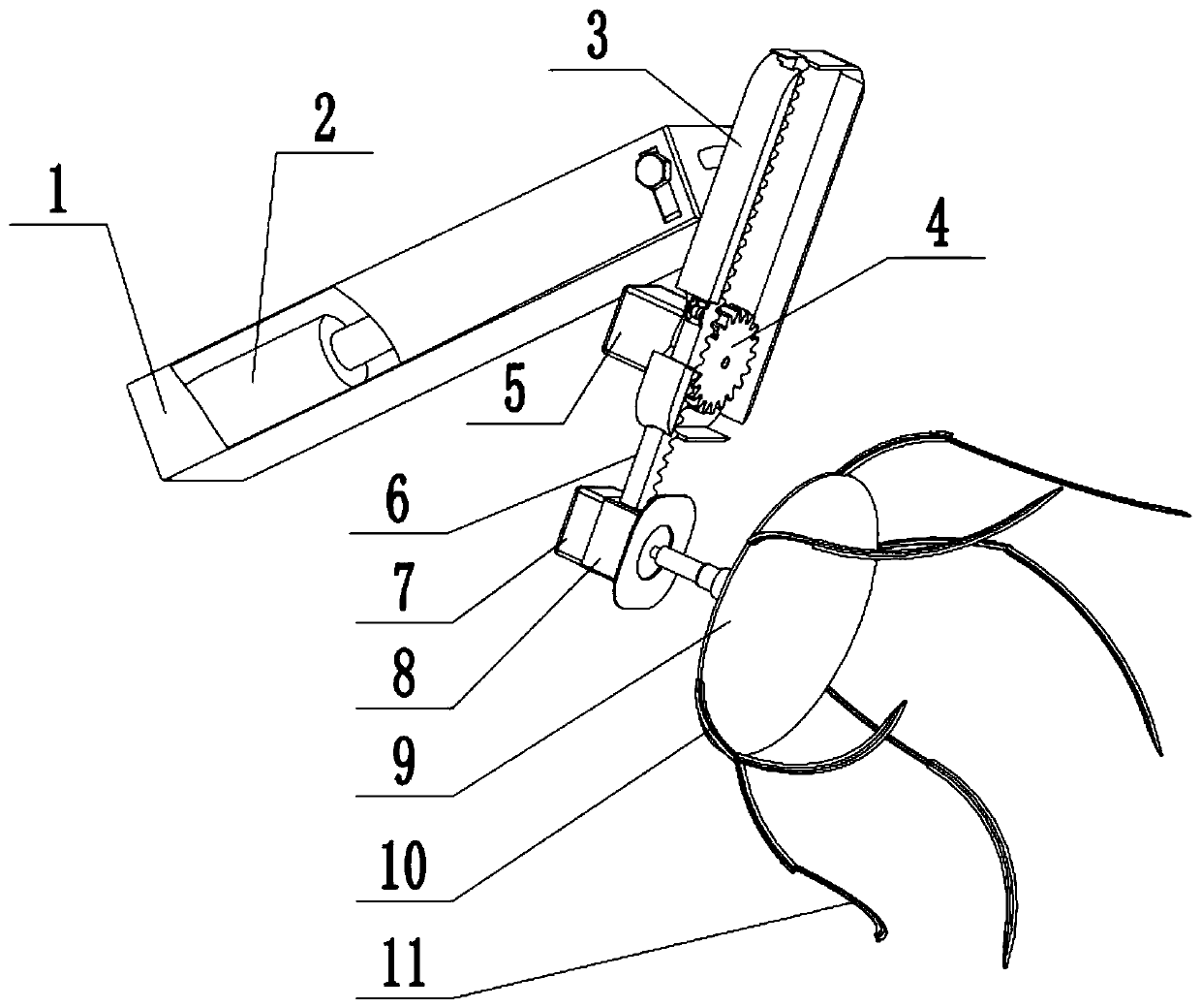 A seedling weeder equipped on a mechanical cultivator weeder