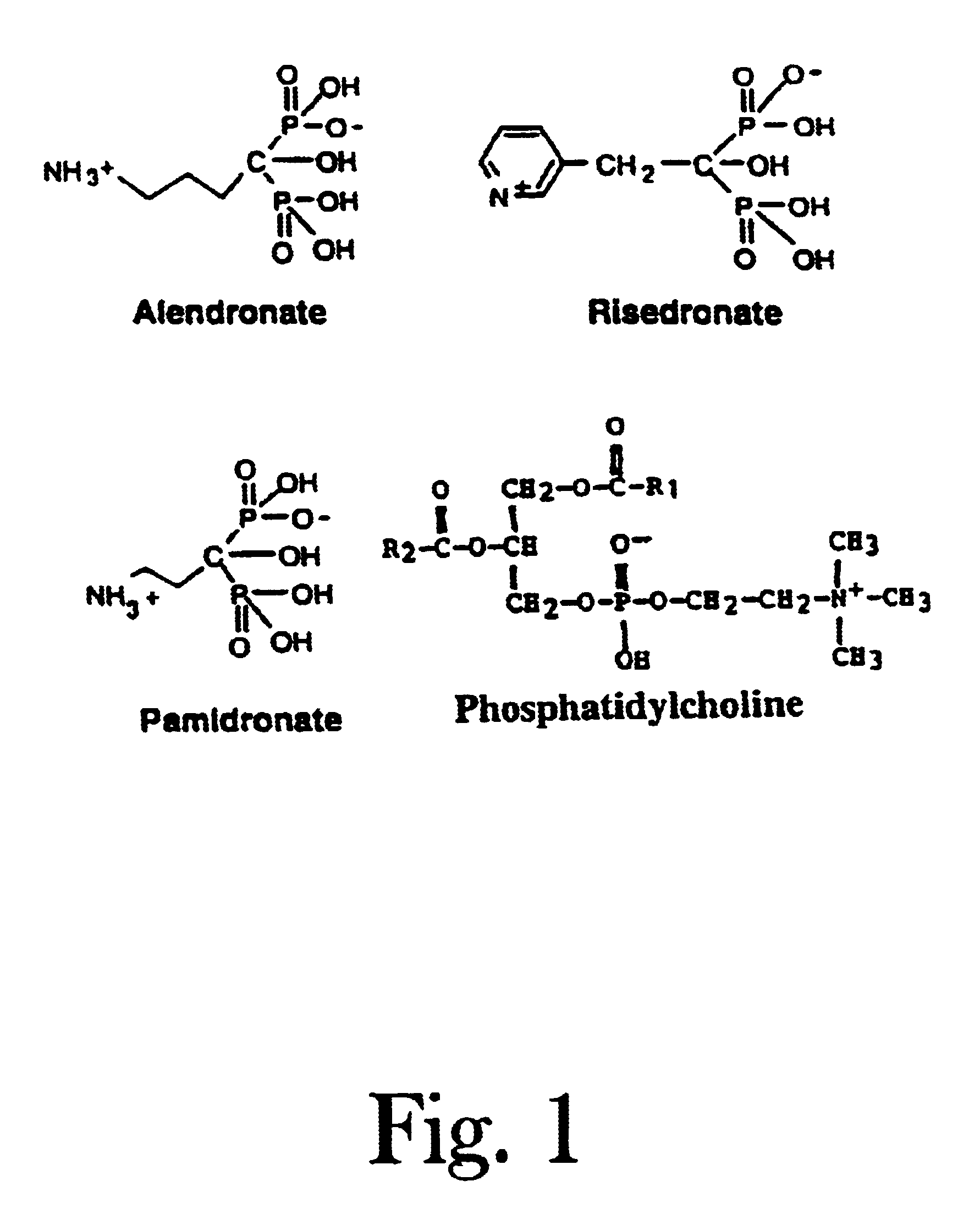 Unique compositions of zwitterionic phospholipids and bisphosphonates and use of the compositions as bisphosphate delivery systems with reduced GI toxicity