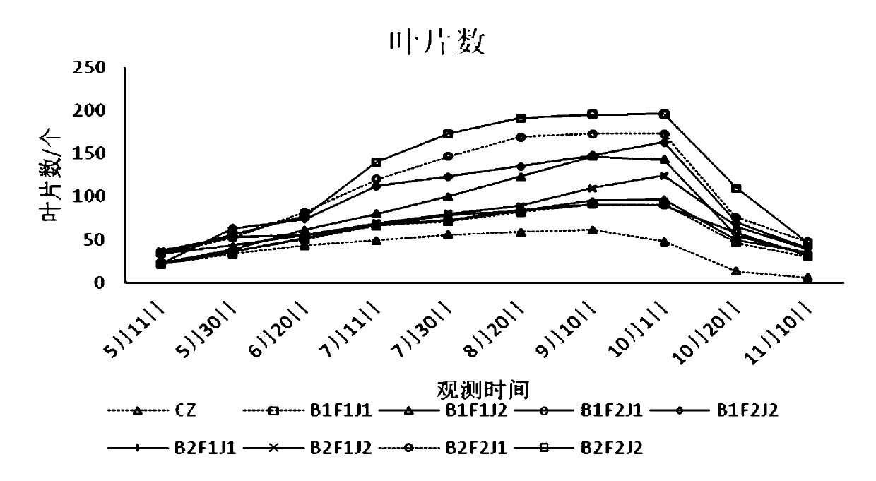 A kind of anti-drought soil conditioner for promoting growth and its preparation method and application method