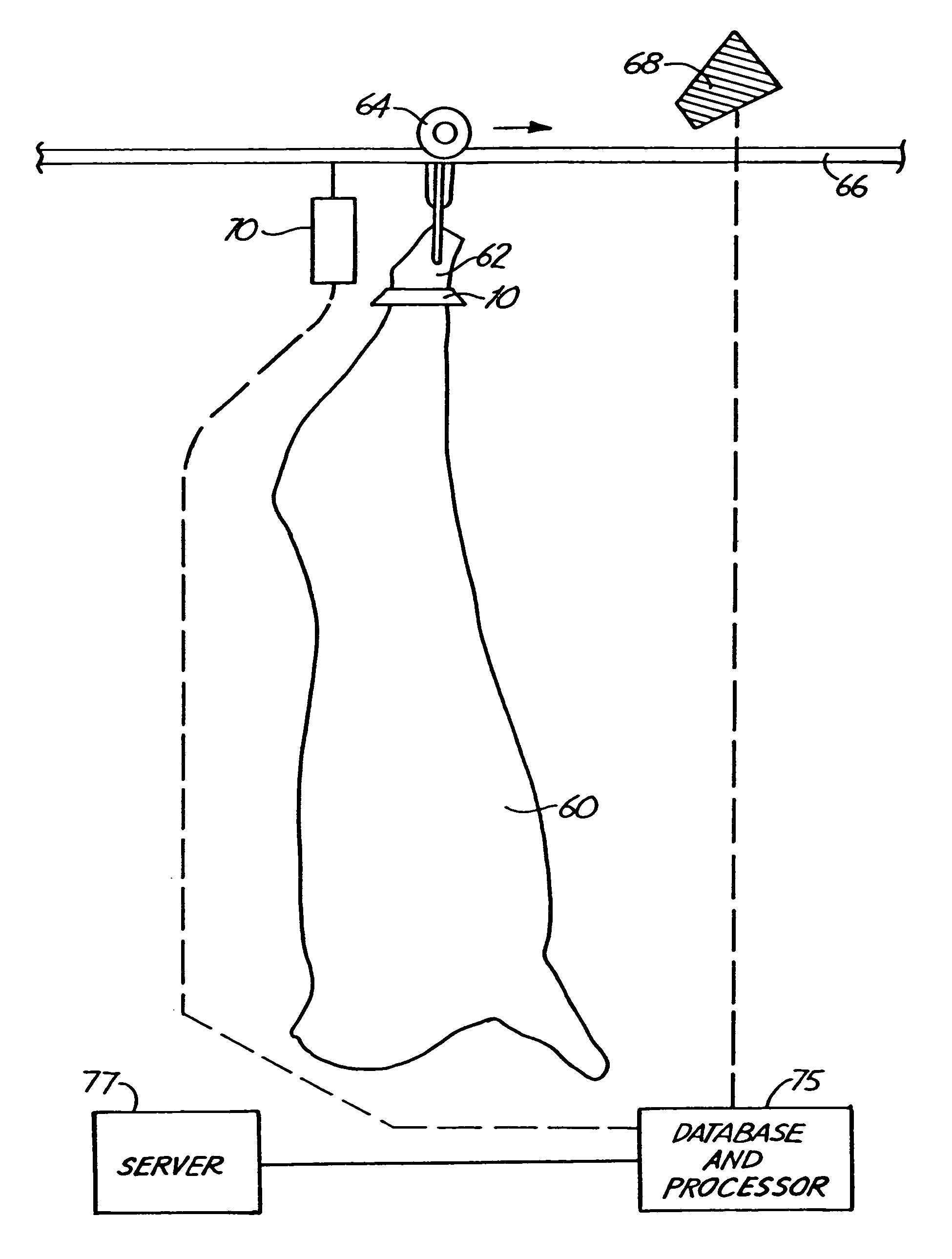 Method and apparatus for tracking carcasses