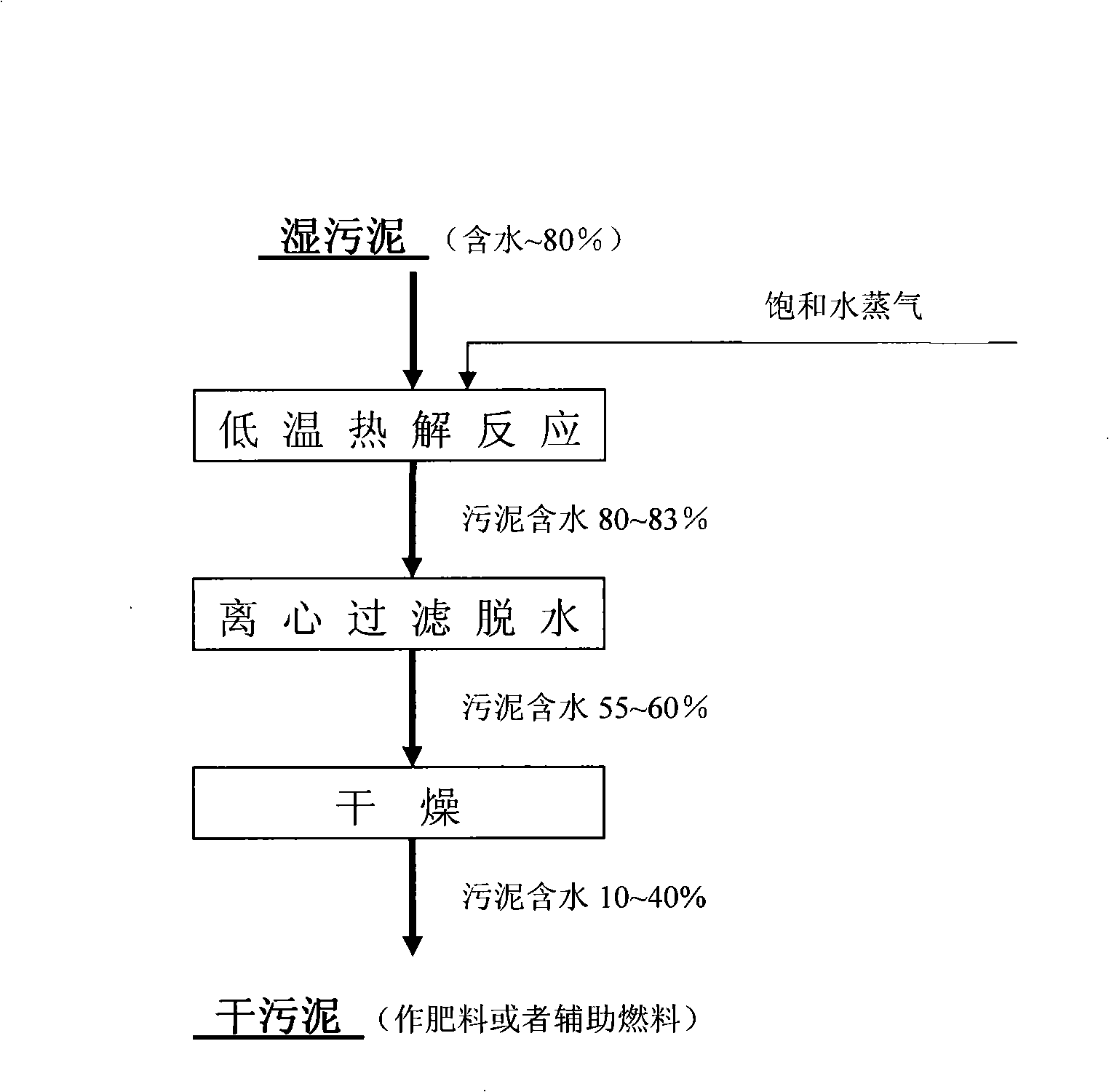 System and process for anhydration treatment of wet sludge