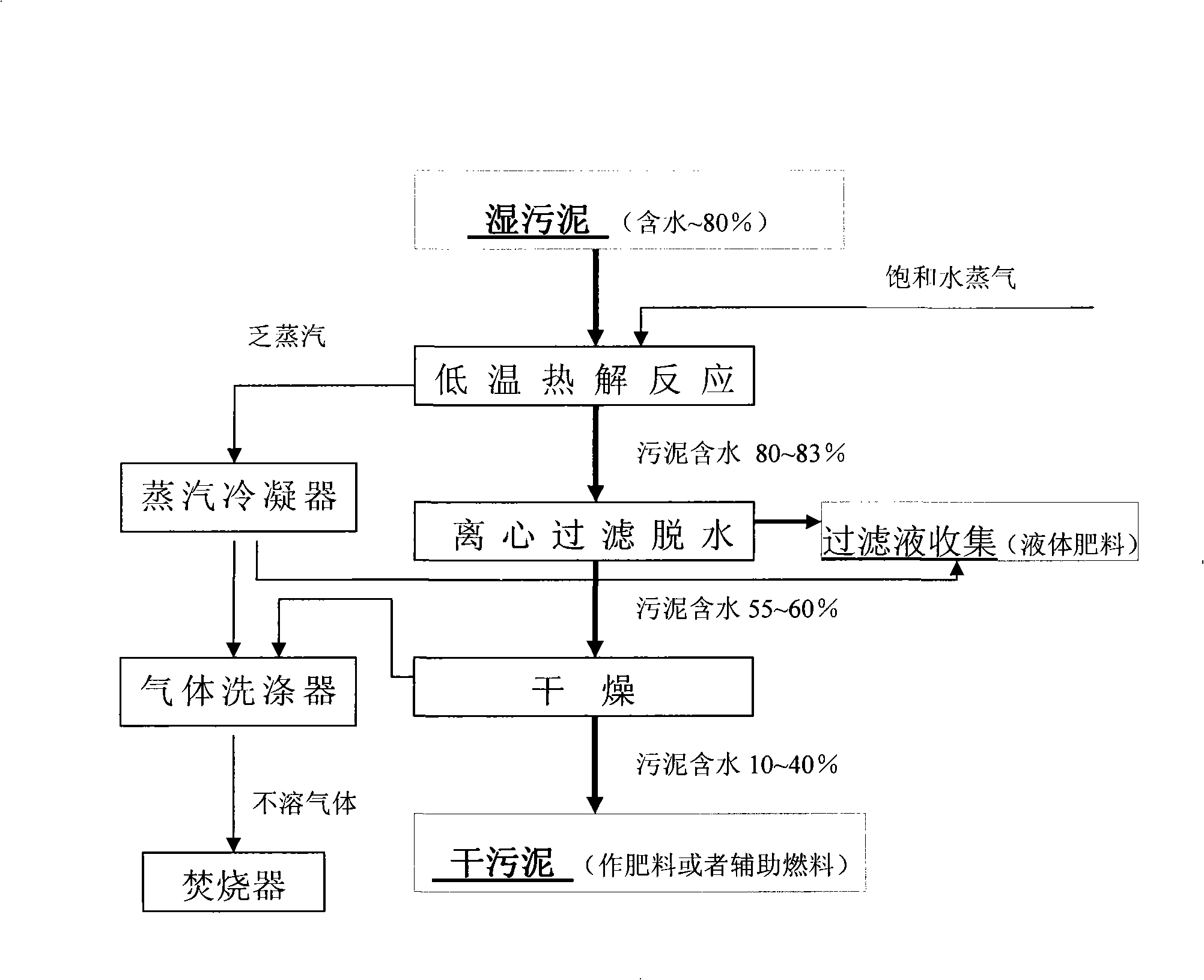 System and process for anhydration treatment of wet sludge