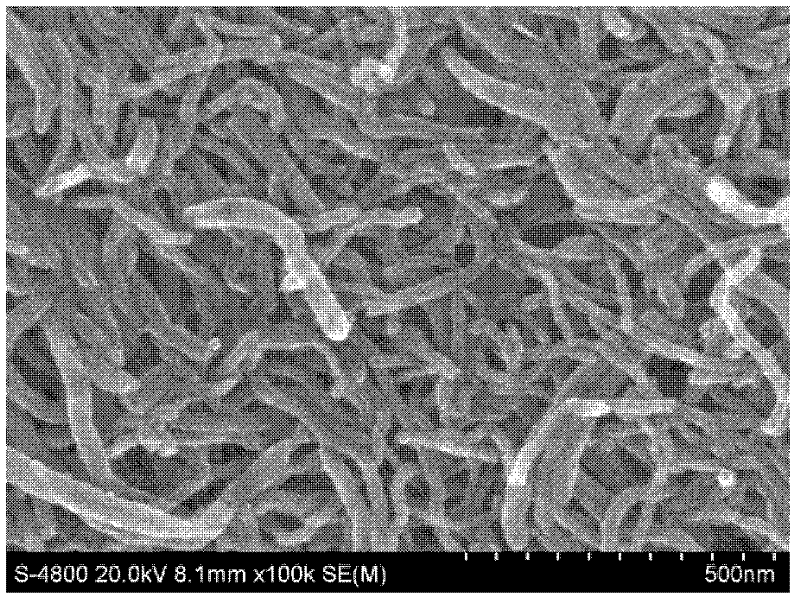 Electromagnetic shielding material with chemically plated iron modified carbon nano-tubes and method for preparing same