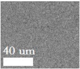 Gallium nitride single crystal with extremely low dislocation density and flux growth method thereof
