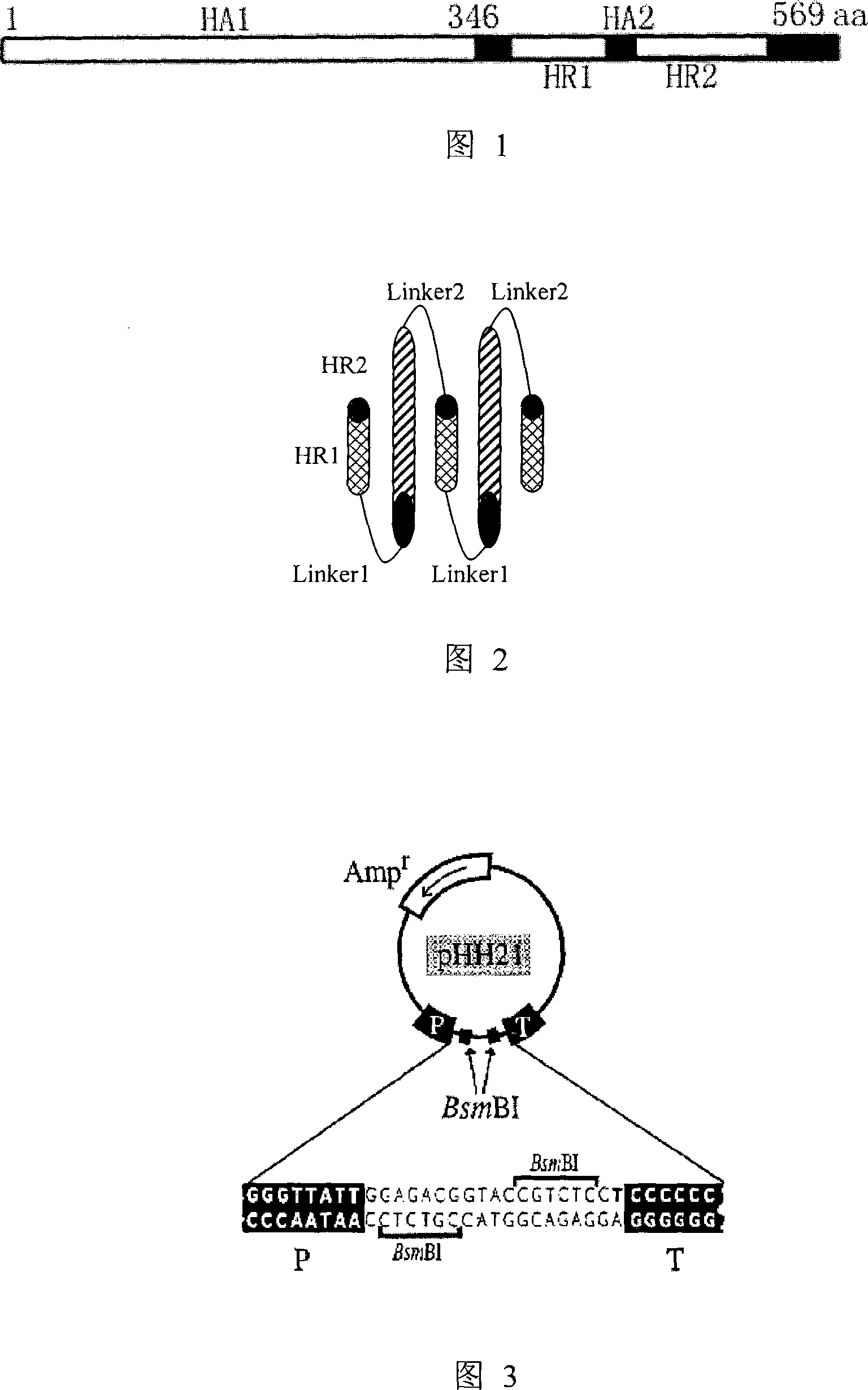 Method for inhibiting influenza virus infection and medicament thereof