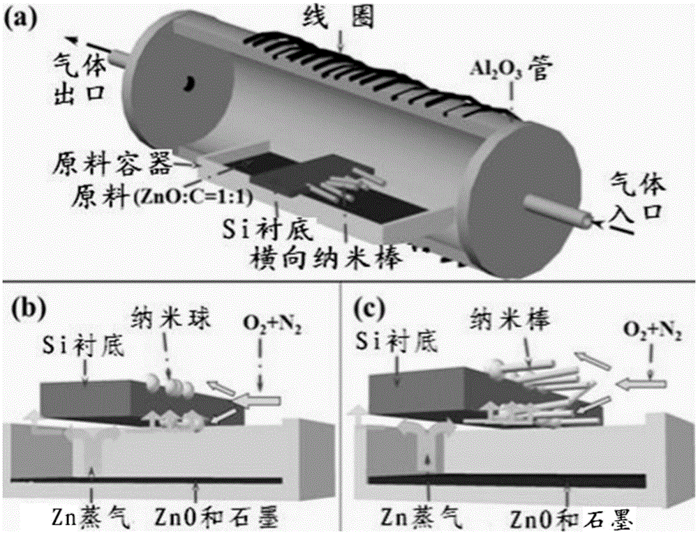 A method for positioning and laterally growing ZnO nanowires on silicon electrodes