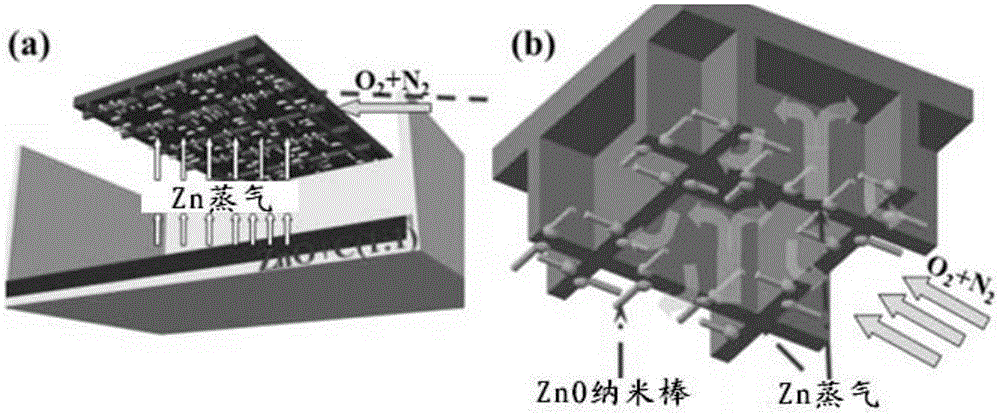 A method for positioning and laterally growing ZnO nanowires on silicon electrodes