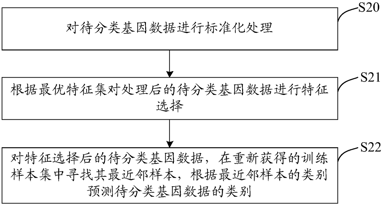 Gene classification method and related equipment