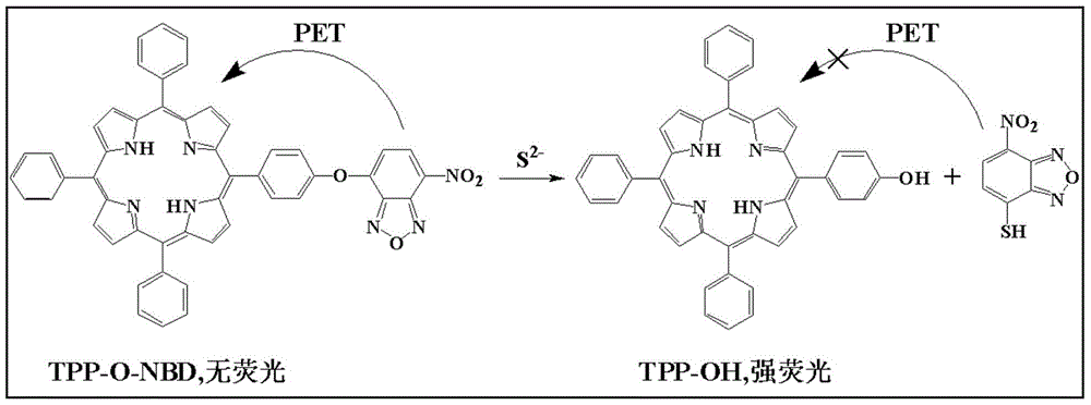 Preparation method and application of a highly selective near-infrared sulfur ion fluorescent probe based on hydroxyporphyrin