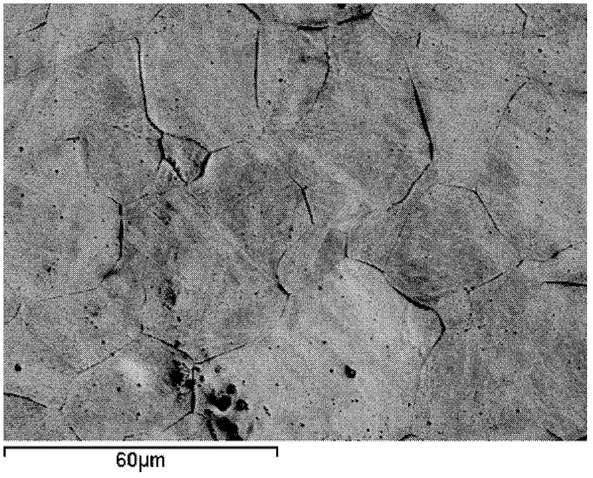 Silver-containing austenitic antimicrobial stainless steel and manufacturing method thereof