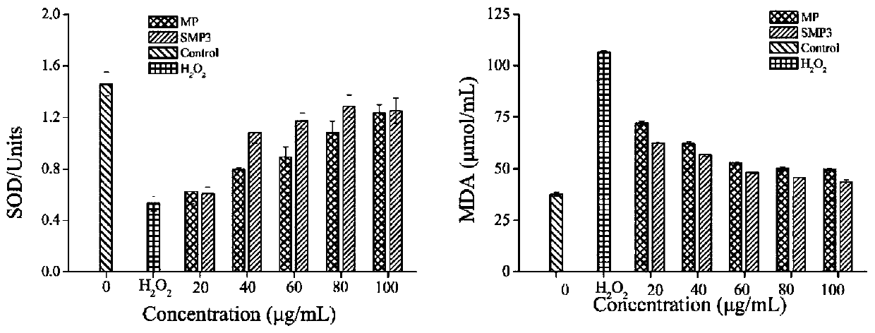 Sulfated mesona chinensis benth polysaccharide and preparation method thereof