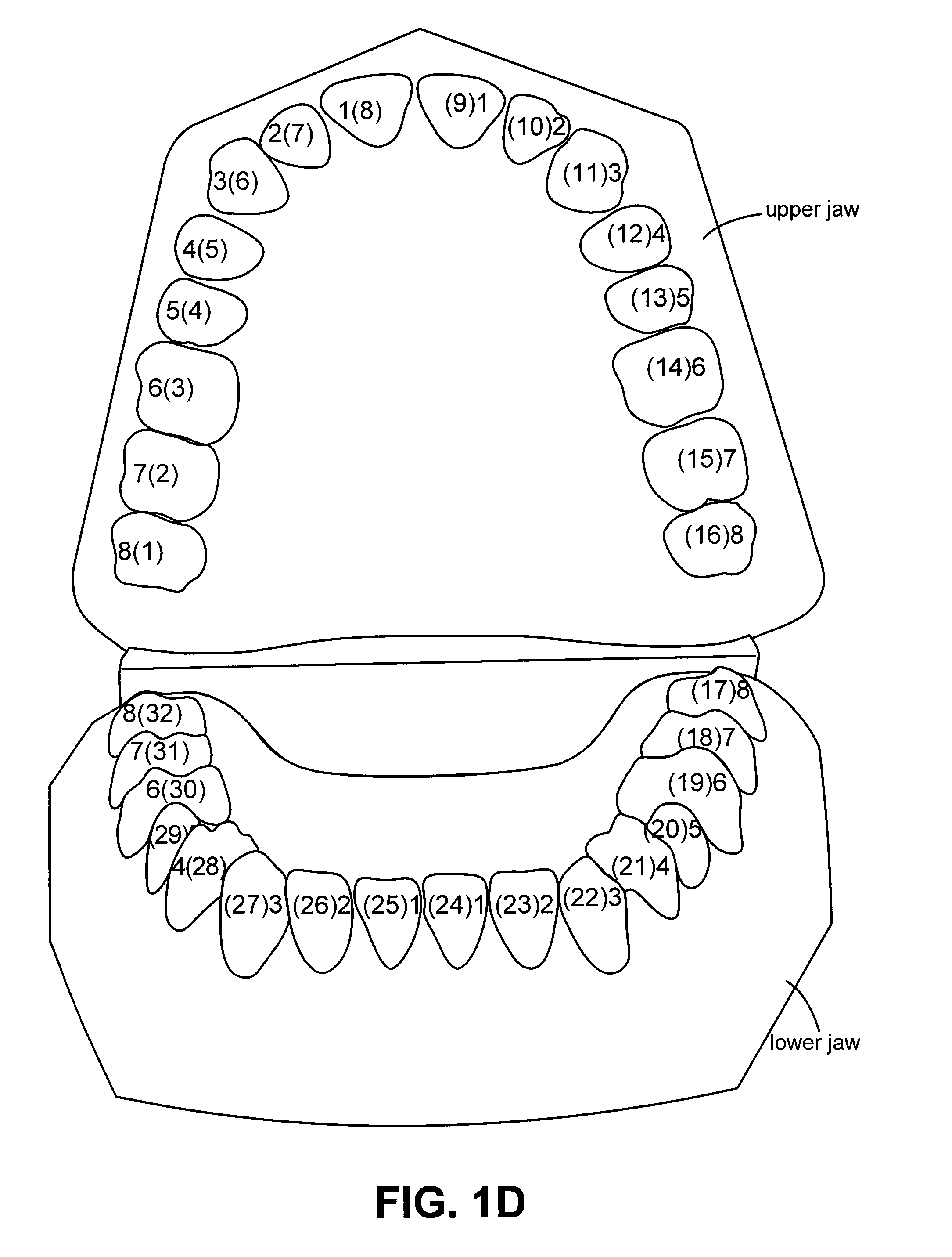 System and method for automatic construction of orthodontic reference objects