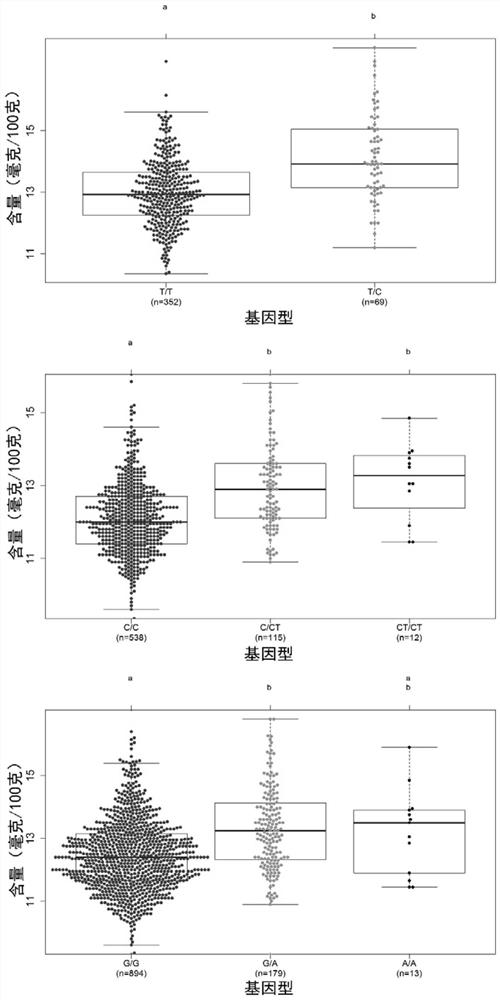 An SNP marker affecting guanine content in individual pigs