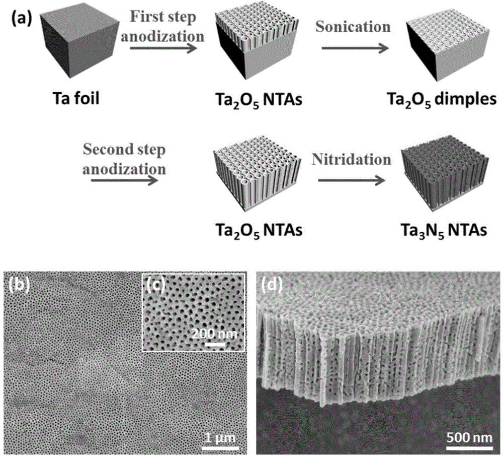 Tantalum nitride nanotube array electrode and preparation method thereof