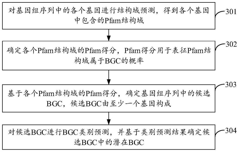 Prediction method and device for potential BGC in genome sequence, equipment and medium