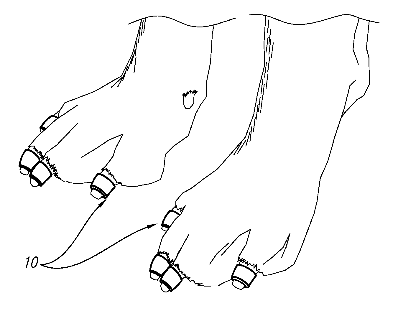Animal toenail grips