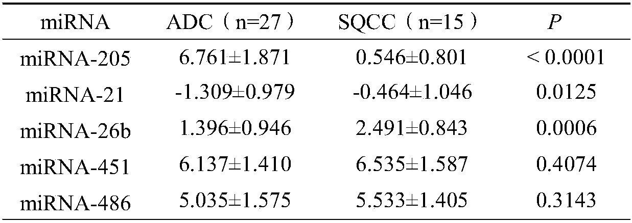 A miRNA marker for tissue typing of lung cancer and its application