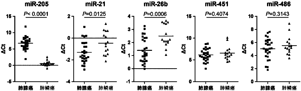 A miRNA marker for tissue typing of lung cancer and its application