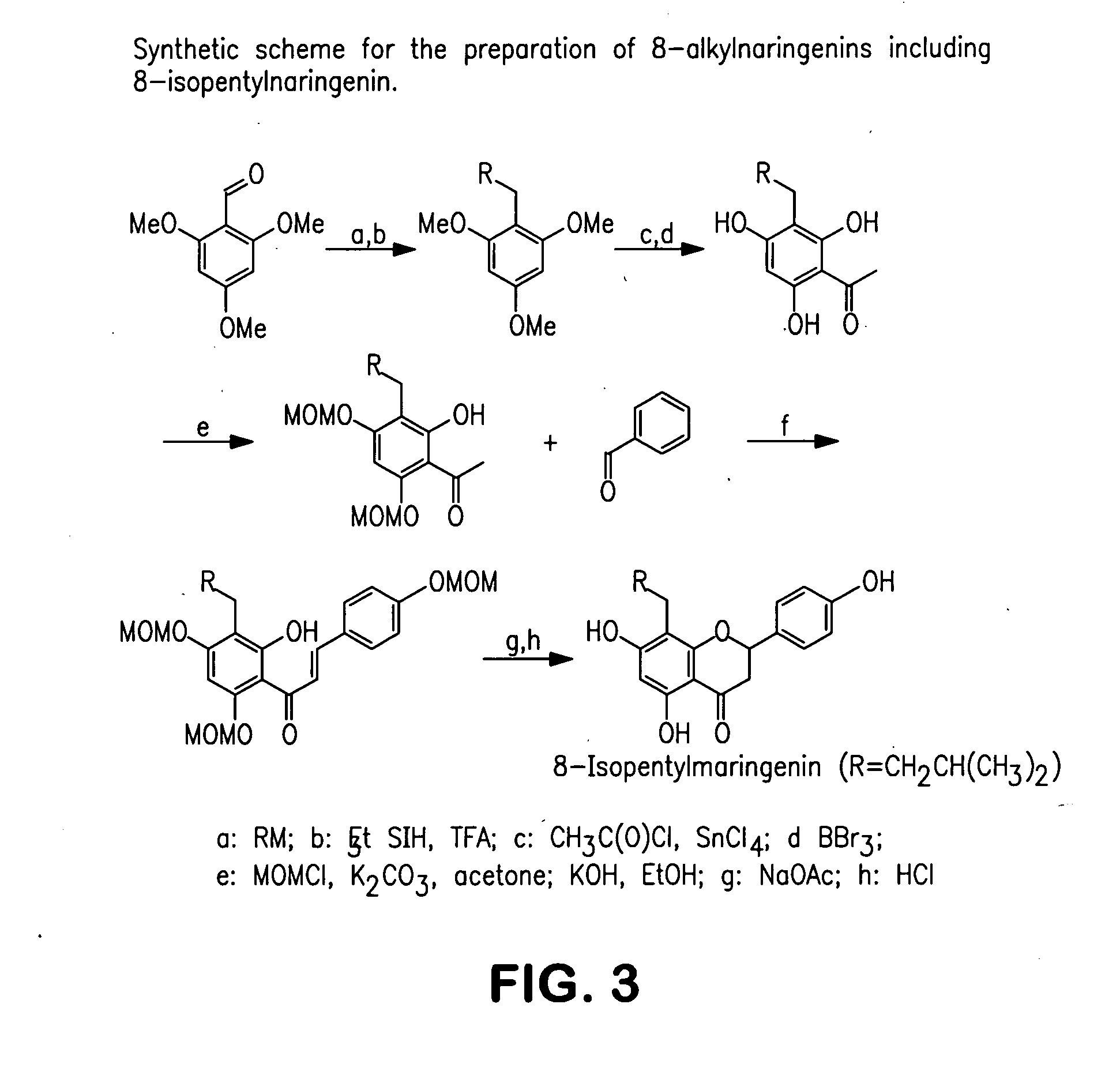 Production of hop extracts having oestrogenic and antiproliferative bioactivity