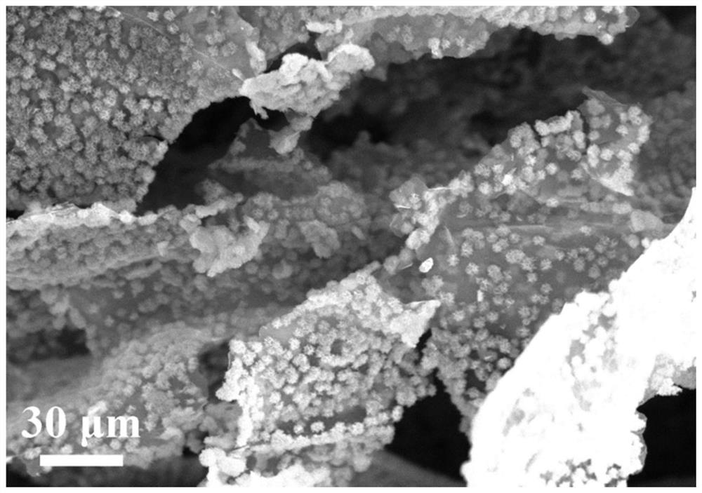 A kind of preparation method of graphene@coal-ldh composite electrode material