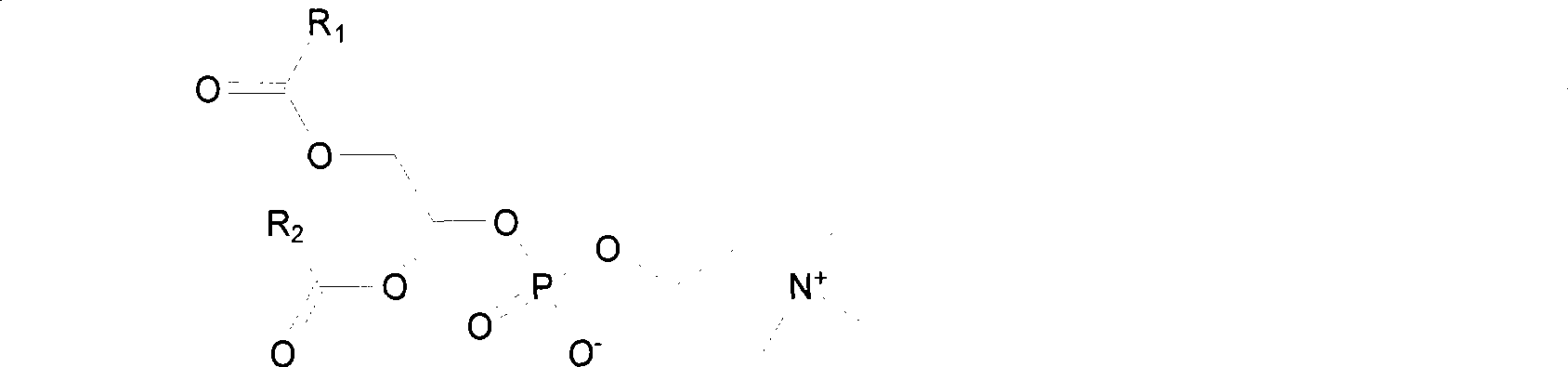 5-fluorouracil-sn2-phosphatidyl choline copolymer as well as preparation method and application thereof