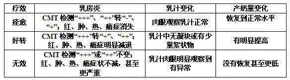 Medicine for treating cow mastitis and preparation method, detecting method and application of medicine