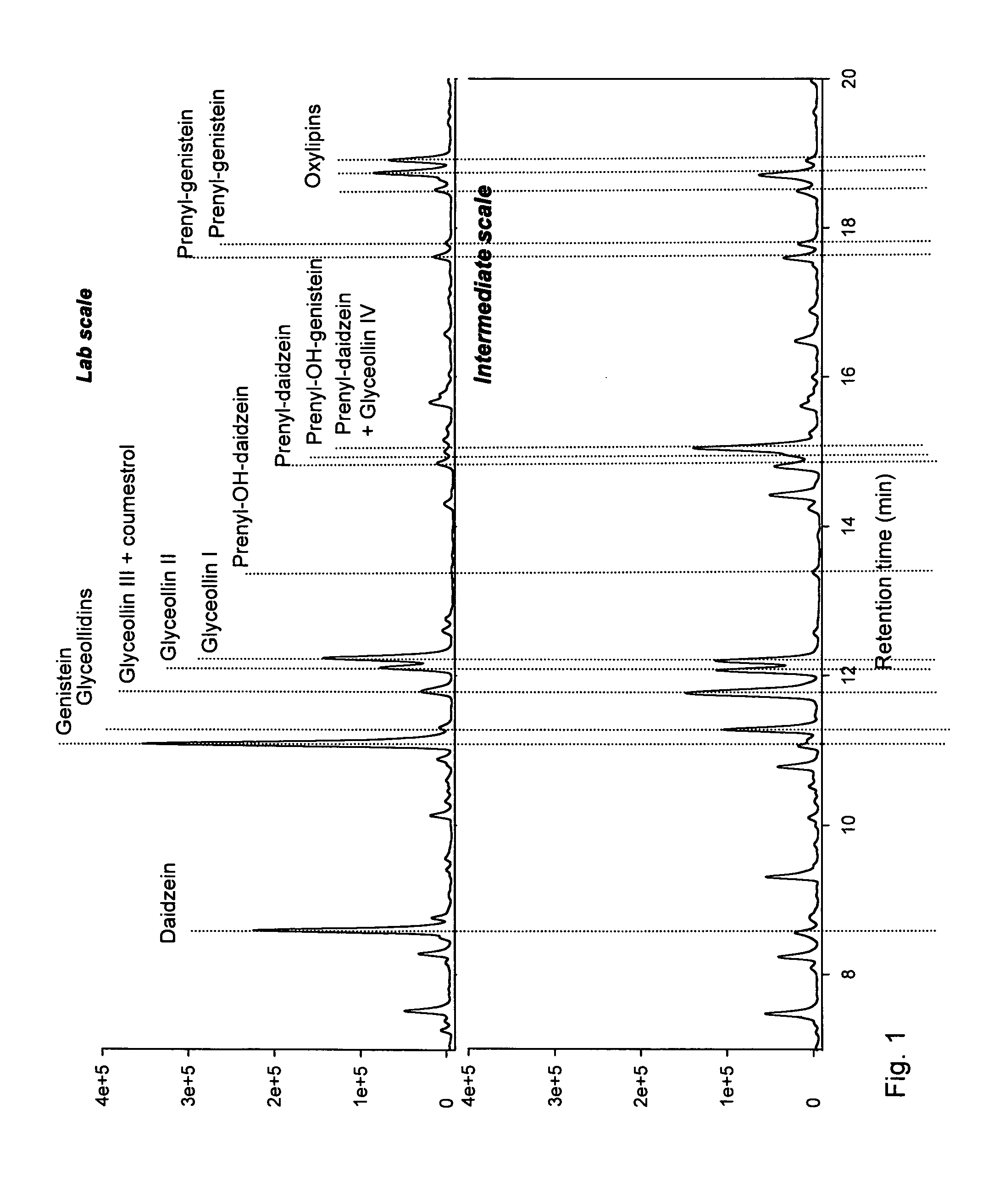 Nutraceutical Composition Obtained from Fungus-Challenged Soy Seedlings