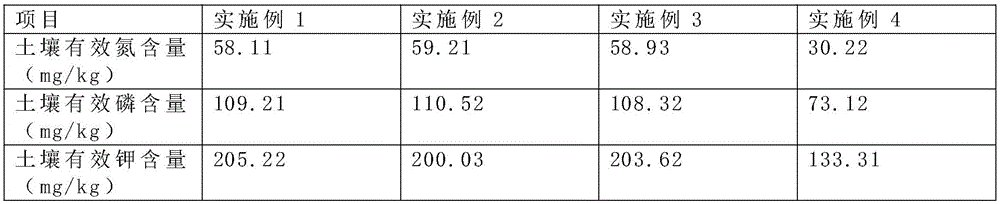 Functional nutrition fertilizer and preparation method thereof