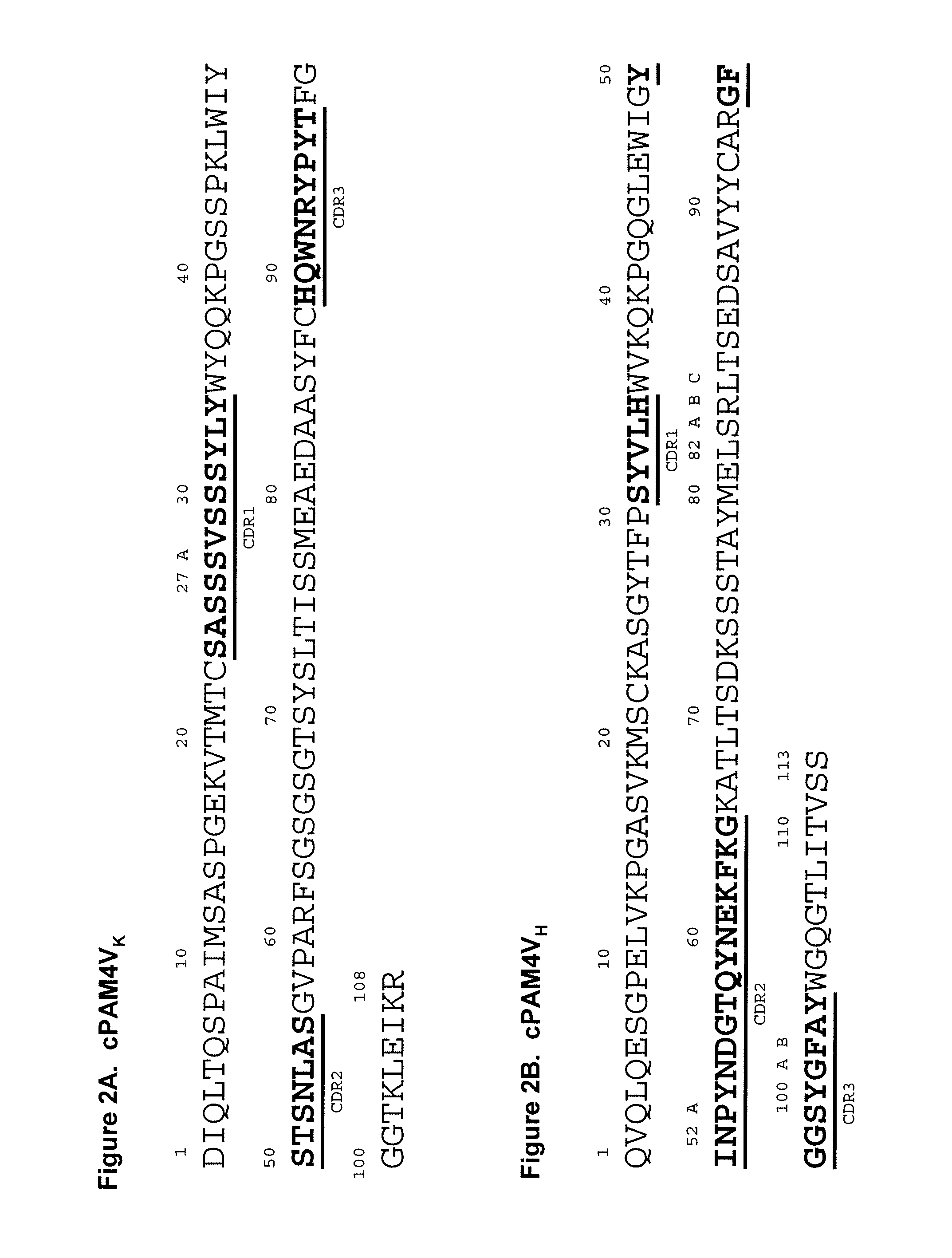 Anti-Mucin Antibodies for Early Detection and Treatment of Pancreatic Cancer