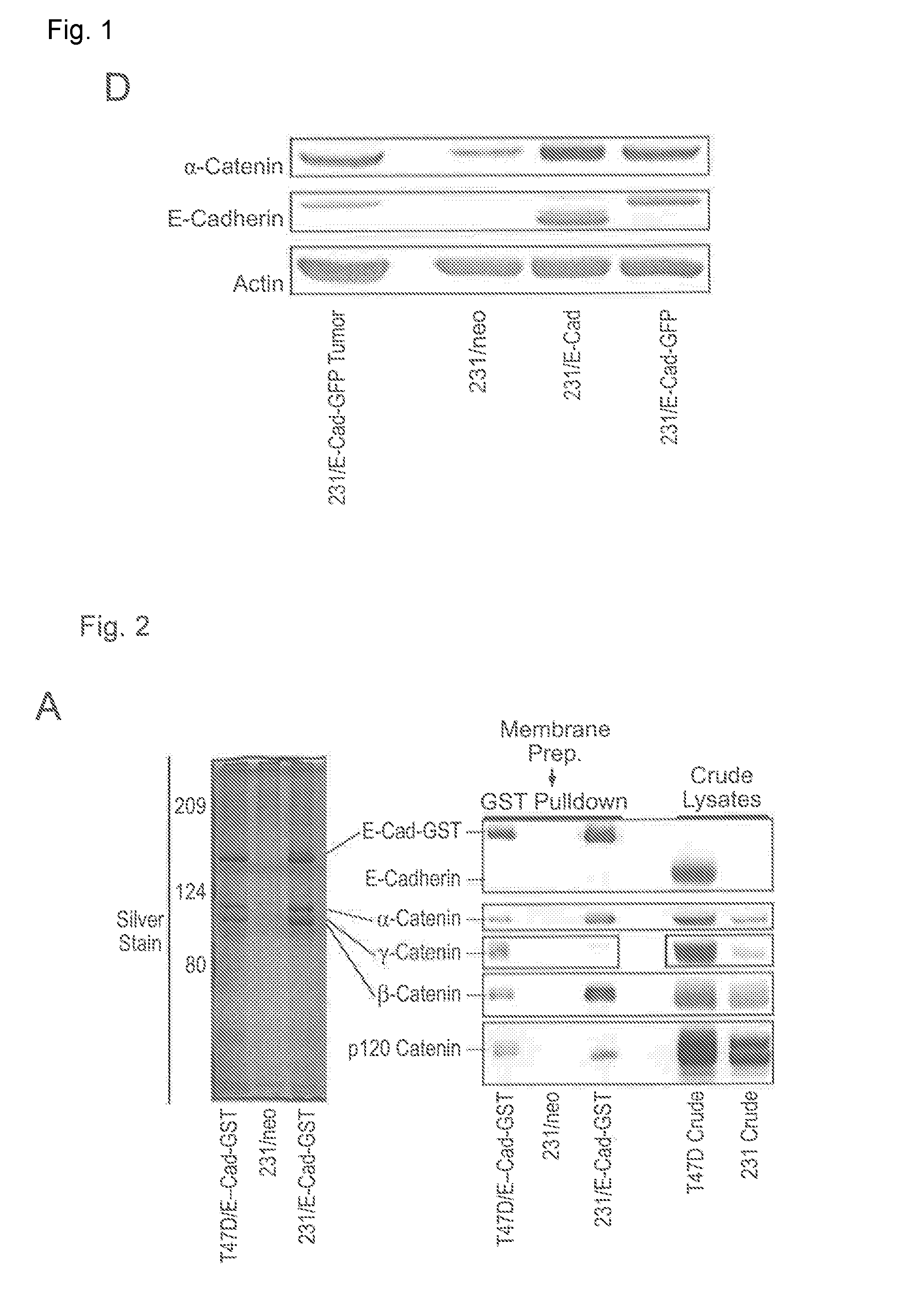 Combination compositions and methods of treatment