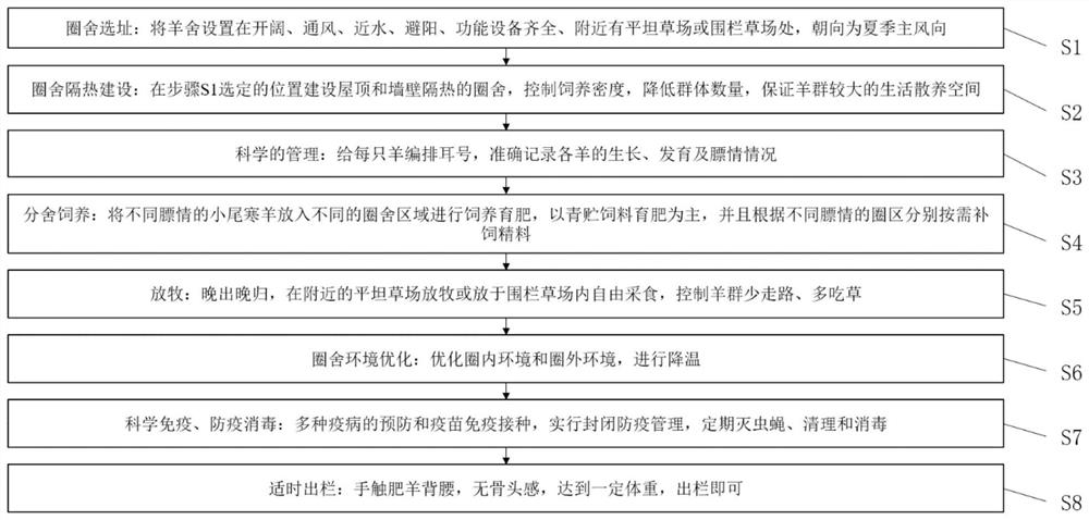 Method for breeding small-tailed Han sheep in fattening period in summer high-temperature environment