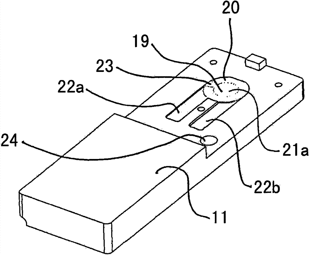 Mass-sensitive chemical sensor